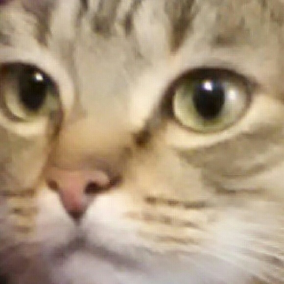 Meet your Posher, Lois