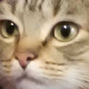 Meet your Posher, Lois