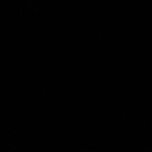 Meet your Posher, Marley