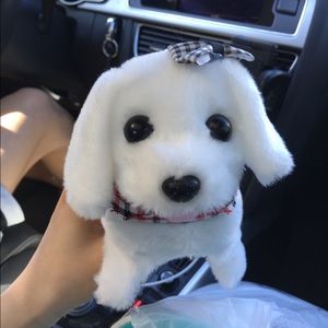 Meet your Posher, Jiyoung