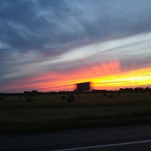 Meet your Posher, Elena