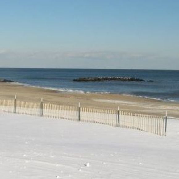 Meet your Posher, Marilyn - Picture 1 of 1