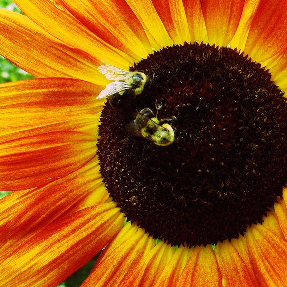 Meet your Posher, Flo - Picture 6 of 13