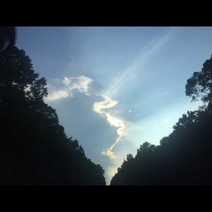 Meet your Posher, Suzanne