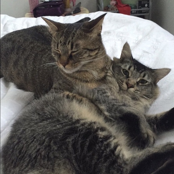 MEET YOUR POSHER! - Picture 4 of 4