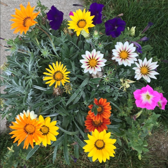 Meet your Posher, Jen