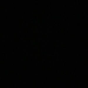 Meet your Posher, Tamia