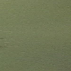 Meet your Posher, Lynda