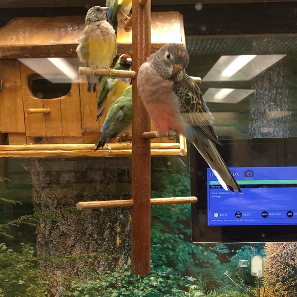 Meet your Posher, Olena