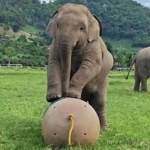 Meet your Posher, Bev