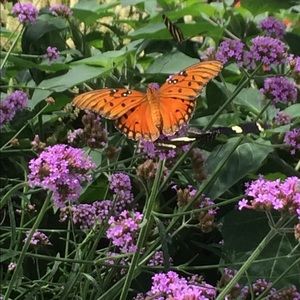 Meet your Posher, Stefanie