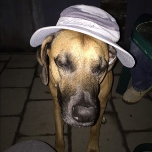 Meet your Posher, Lee