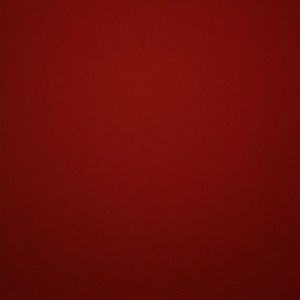 Meet your Posher, Darci