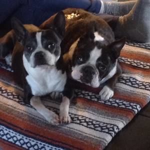 Meet your Posher, Debbi