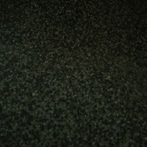 Meet your Posher, Tabitha