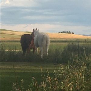 Meet your Posher, Christine