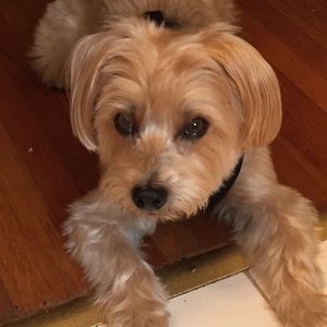 Meet your Posher, Eva