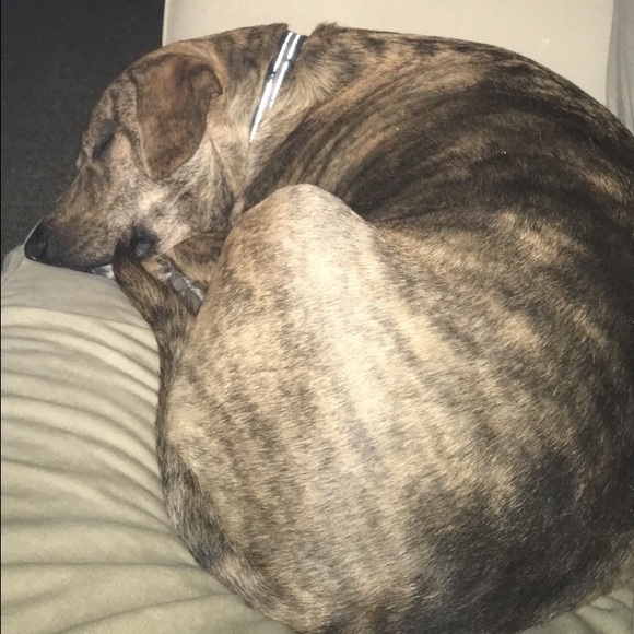 Meet your Posher, Caitlin - Picture 1 of 1