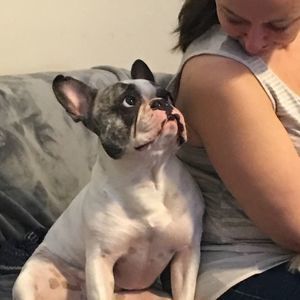 Meet your Posher, Janice