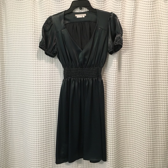 *NEW!* never worn silk dress