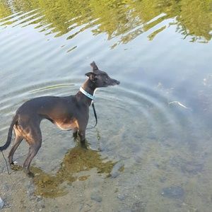 Meet your Posher, Kelli