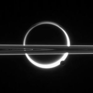 Meet your Posher, Peggy