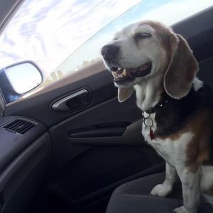 Meet your Posher, Sandy