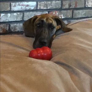 Meet your Posher, Clark