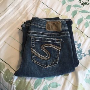 Silver Brand Frances 22" Jeans