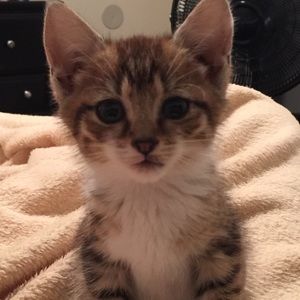 Meet your Posher, Brooke