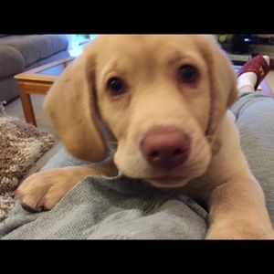 Meet your Posher, Vivian