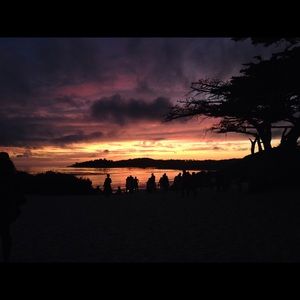 Meet your Posher, Jane