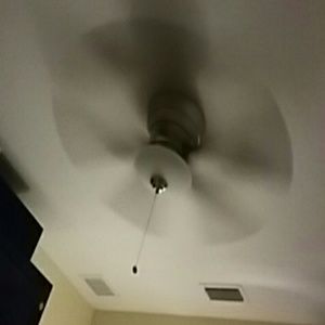 Meet your Posher, Irma