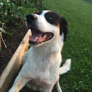 Meet your Posher, Kristen