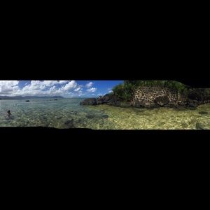 Meet your Posher, Annie