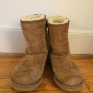 Chestnut Uggs