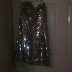 Morie Lee Silver Sequin Dress