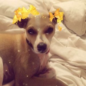 Meet your Posher, Skyler