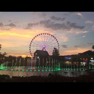 Meet your Posher, Carrie