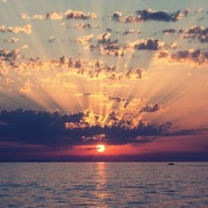 Meet your Posher, Mattie