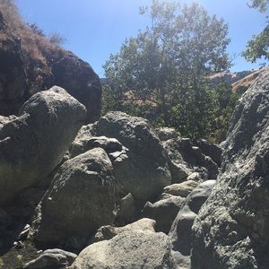 Meet your Posher, Destiny