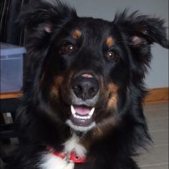Meet your Posher, Jess - Picture 1 of 1