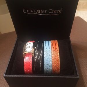 Watch with Interchangeable Straps