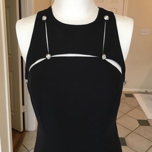 Adrianna Papell Floor Length Black Gown