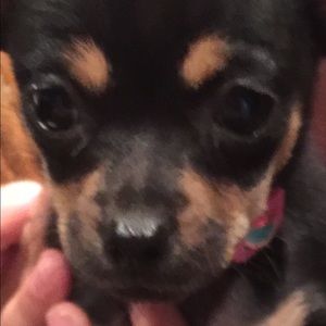 Meet your Posher, Kathy