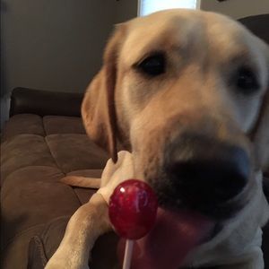 Meet your Posher, Heather