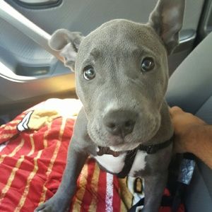 Meet your Posher, John