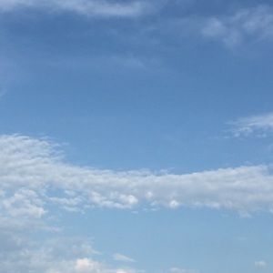 Meet your Posher, Marlo