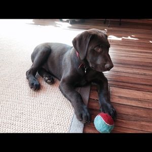 Meet your Posher, Catrina