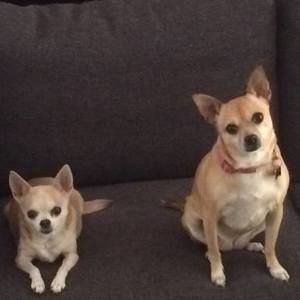 Meet your Posher, Jackie